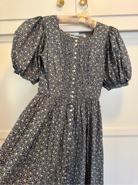 Doen Dresses & Skirts - Doen Asheville Dress in Blue Cottage Daisy - size small